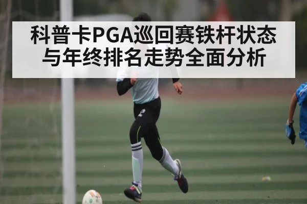 科普卡PGA巡回赛铁杆状态与年终排名走势全面分析 - kaiyun